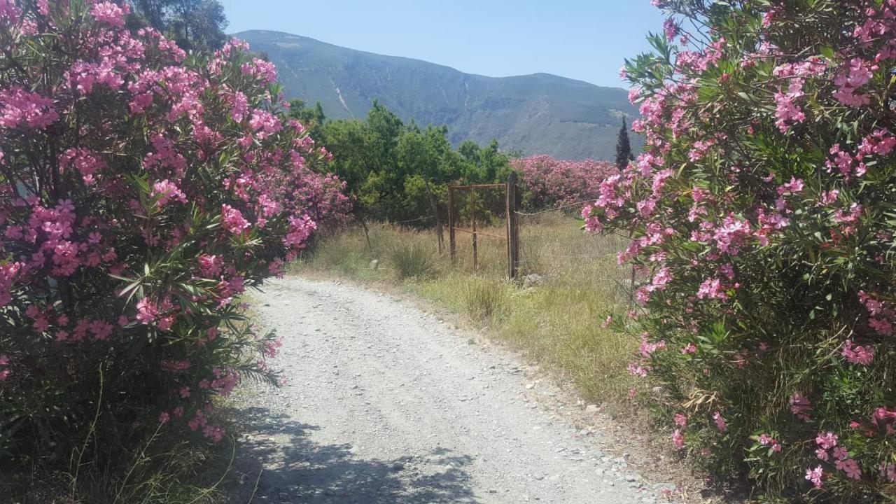 Gateway To The Alpujarras, 'Cortijo Derry' Hotel Orgiva Exterior photo